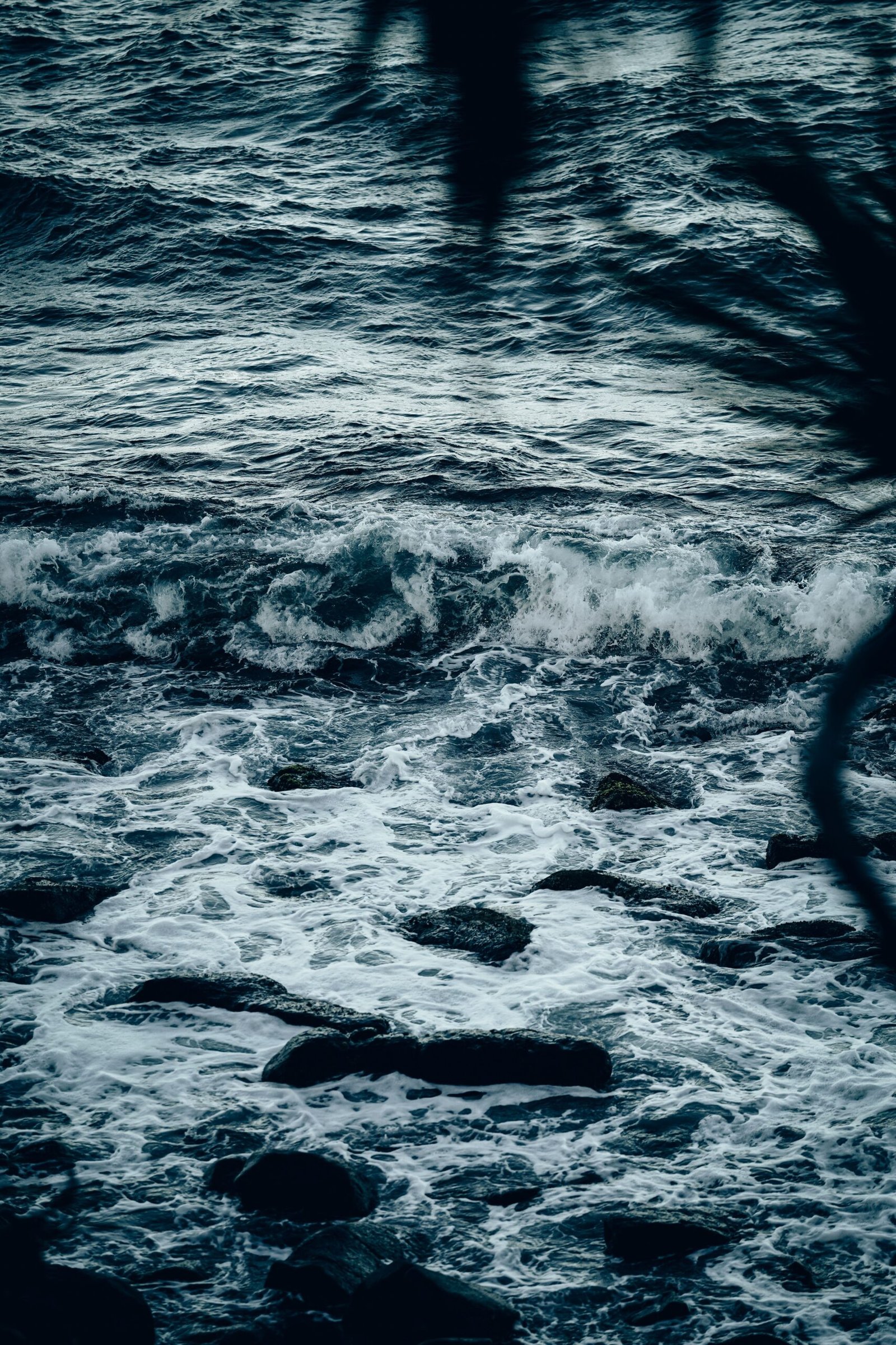 Holding the Paradox: Why Grief and Growth Coexist in Transitions